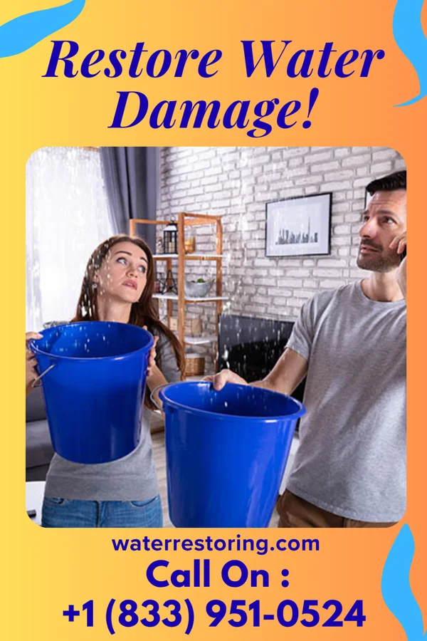 water restoration North Water Cleanup Specialists Haywood