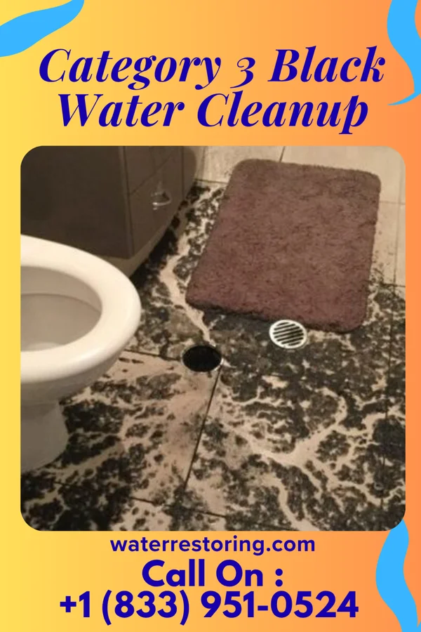 Category 3 Black Water Cleanup in Haywood, OK